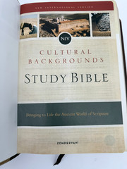 NIV Cultural Background Study Bible Imitation Leather