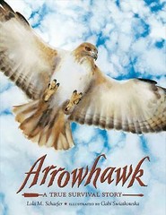 Arrowhawk: A True Survival Story – paperback, Lola M Schaefer, 9781250039880
