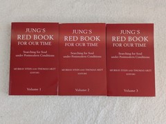 Lot of JUNG’S RED BOOK FOR OUR TIME 1-3 Murray Stein & Thomas Arzt Chiron 2017