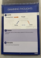 Gillihan, The CBT Flip Chart: Evidence-Based Treatment For Anxiety, Depression