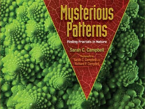 Mysterious Patterns: Finding Fractals in Nature – Hardcover – GOOD