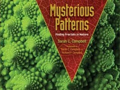 Mysterious Patterns: Finding Fractals in Nature – Hardcover – GOOD