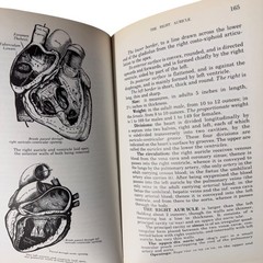 The Concise Grays Anatomy Book by C.H. Leonard AM MD Chartwell Books 1983 Omega