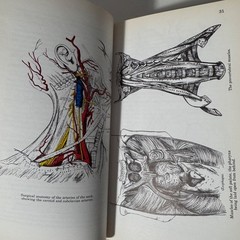 The Concise Grays Anatomy Book by C.H. Leonard AM MD Chartwell Books 1983 Omega