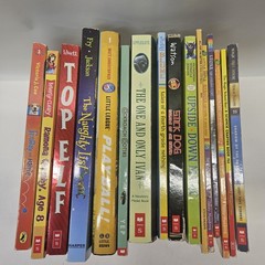 Lot of 16 Childrens Chapter Books Ages 8-12 (3-6 grade) – Scholastic Publishing