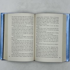The Hunger Games Trilogy Suzanne Collins Scholars’ Press Hardcover Black