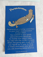 Home School Teachers Cloud 9 world character book PERSEVERANCE 2nd-5th kit