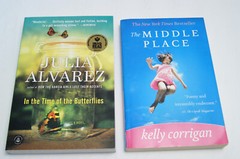 Book Lot 12 Contemporary Fiction Mixed Authors Trade Paperbacks Pre‑Owned