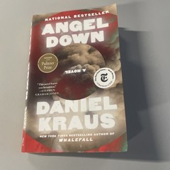 Angel Down (Paperback or Softback)