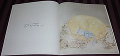 OUTBACK LULLABY (SALLY ODGERS / LISA STEWART) -24cm X 25cm- LARGE BOOK BRAND NEW