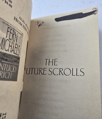 Lot of 9 Fern Michaels Paperback Books Random Mix – Free Shipping