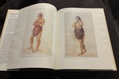 America 1585 The Complete Drawings of John White Paul Hulton 1984 HC/DJ VGUC