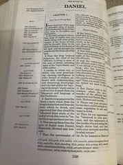 NASB THOMPSON CHAIN REFERENCE BIBLE 1977 RED LETTER BROWN LEATHER SOFT