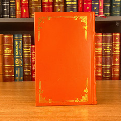 The Gunslinger: The Dark Tower [Premium Leather Bound]