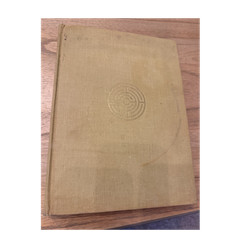 Carl G. Jung Man and His Symbols Windfall Book Doubleday 1964 HC Illus