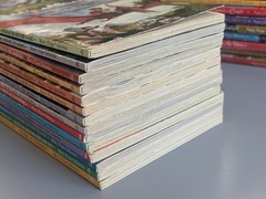 Magic Tree House Chapter Books YOU CHOOSE PICK, BUILD A LOT Merlin Mission