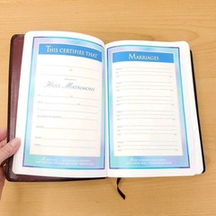Zondervan The NIV Study Bible 10th Anniversary Edition 1995 Red Letter, Leather