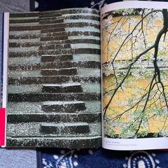 Japanese Cherry Blossoms Hardcover Book | Wide版 152 pages 7.4 x 10.3 in