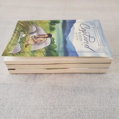 The Good and the Beautiful Level 5 Readers Lot of (3) Books Captured, Chico