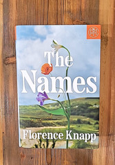 “The Names” – Hardback Novel by Florence Knapp