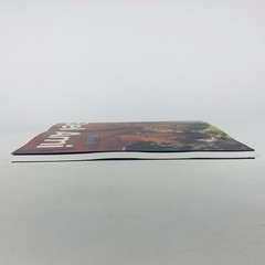 Intimate Friends Large Paperback By Bel Ami -Bruno Gmunder Male Nude Photography