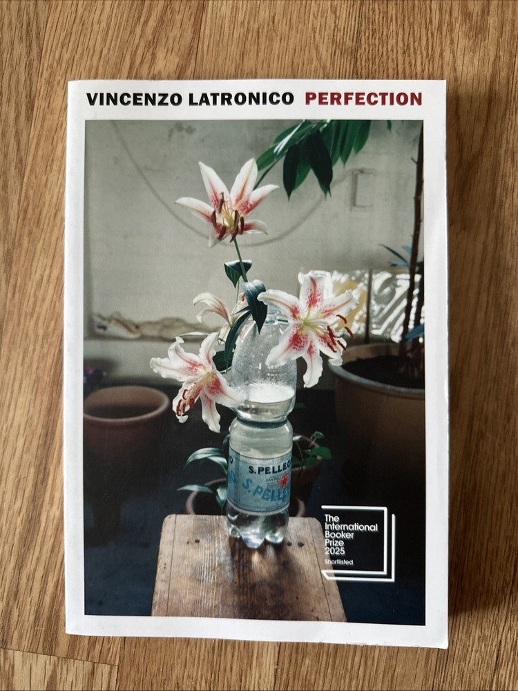 Perfection by Vincenzo Latronico: Used
