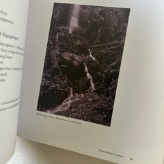 Coming Into Focus Alt Photographic Printing Processes 2000 Chronicle Book Br4