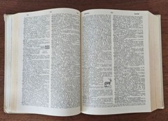 1966 Funk and Wagnalls Encyclopedic Dictionary Vintage Hardcover