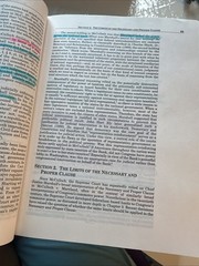 Constitutional Law 21st by Noah Feldman and Kathleen Sullivan (2022)