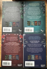 The Iron Fey Series – Iron King 1-4 – Julie Kagawa New Paperback