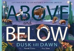 Harriet Evans Above and Below: Dusk till Dawn (Paperback) (UK IMPORT)