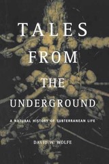 Tales From The Underground: A – Paperback, by Wolfe David; Wolfe – Very Good
