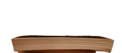 Atonement : A Novel by Ian McEwan (2003, Tr Pbk)