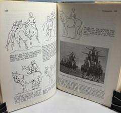 The Horseman’s Encyclopedia by Margaret Cabell Self, New & Revised Edition, 1978