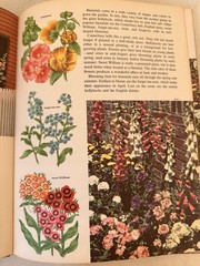1962 The Golden Book of Gardening by Frances Giannini & Seymour Reit