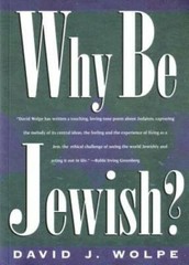 Why Be Jewish? – Paperback By Wolpe, David J. – GOOD
