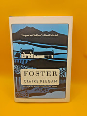 FOSTER by Claire Keegan Hardcover Quiet Girl Movie Book Bestseller