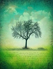 Notebook: 85 X 11 202 Lined Pages Script Green Tree Silhouette Graphic N – GOOD