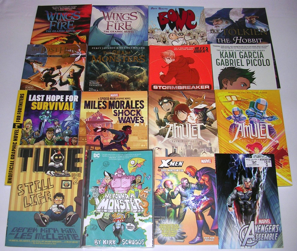Lot 16 Graphic Novels for Kids BOYS Interest: DC Marvel Amulet Wings of Fire