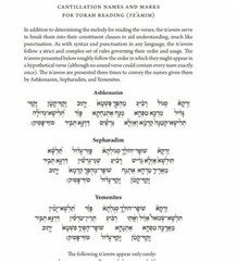 Koren Sacks Hebrew English Compact Flexcover Torah Tanach Tanakh Jewish Bible