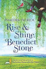 Rise and Shine, Benedict Stone – Paperback, by Patrick Phaedra – Very Good j