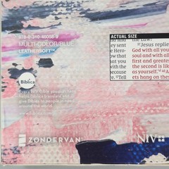 Zondervan NIV Artisan Collection Bible Jesus Word in Red Leathersoft Multicolor