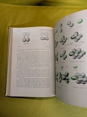 Organic Chemistry Cram and Hammond 2nd Ed Hardcover 1964