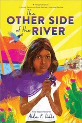 Barefoot Dreams of Petra Luna Ser.: The Other Side of the River by Alda P. Dobbs
