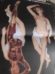 THE ANATOMICAL VENUS