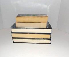 Dark Series Novels #26-30 Adult Paranormal Romance Christine Feehen