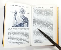 Lives of the Saints One For Every Day of the Year Hardcover 528 pages A12