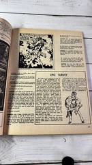 Comics Feature No. 9 1981 Leonard Starr Interview Fred Hembeck Marvel DC Comics