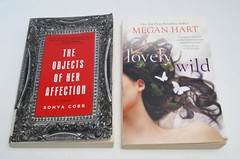 Book Lot 12 Contemporary Fiction Mixed Authors Trade Paperbacks Pre‑Owned