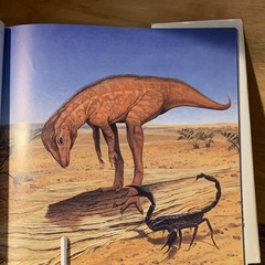 An Alphabet of Dinosaurs Peter Dodson HC Illustrated Wayne Barlowe Scholastic